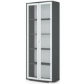 Kép 1/2 - POLLY vitrines polcos elem 80 cm - Matt Sötétszürke / Szürke
